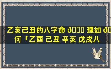 乙亥己丑的八字命 🐋 理如 🐎 何「乙酉 己丑 辛亥 戊戌八字命理」